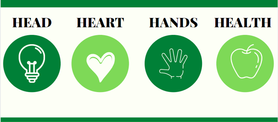 Head. Heart. Hands. Health.